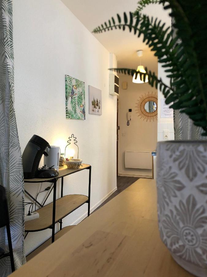 Equateur-Centre Jaude Lejlighed Clermont-Ferrand Eksteriør billede